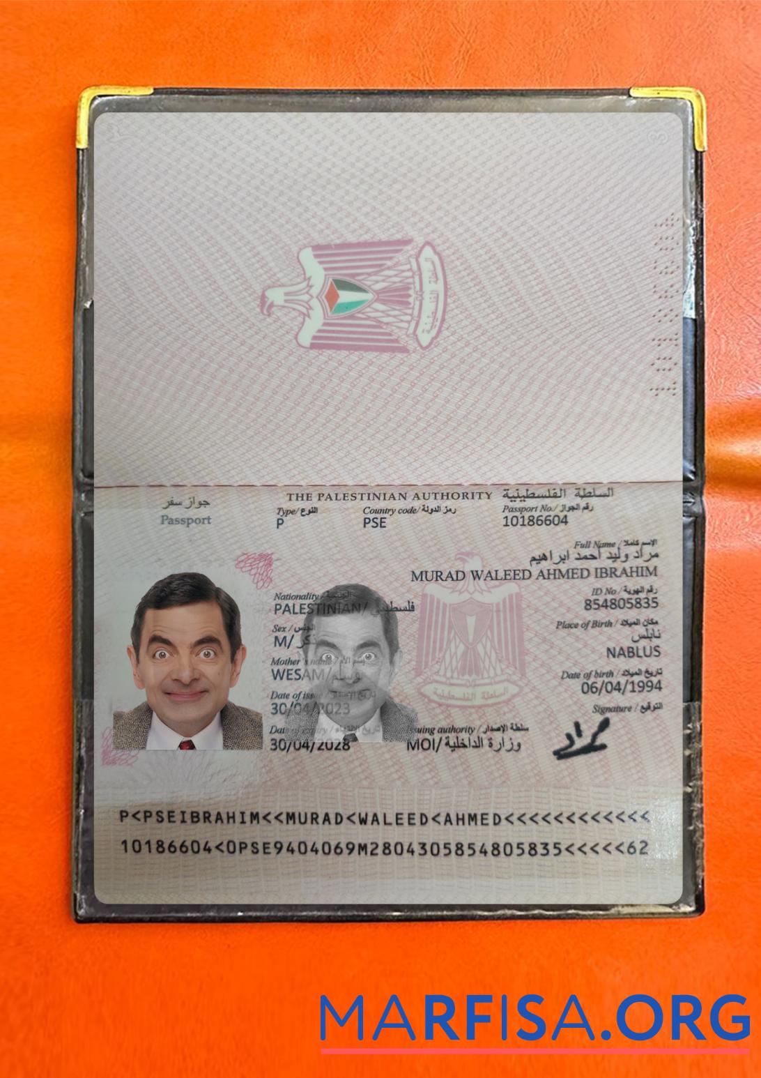 Downloadable Palestine passport 2023 present photolook sample